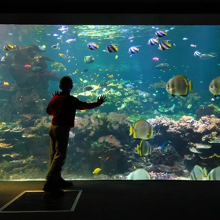 Appartement Les Toiles De *